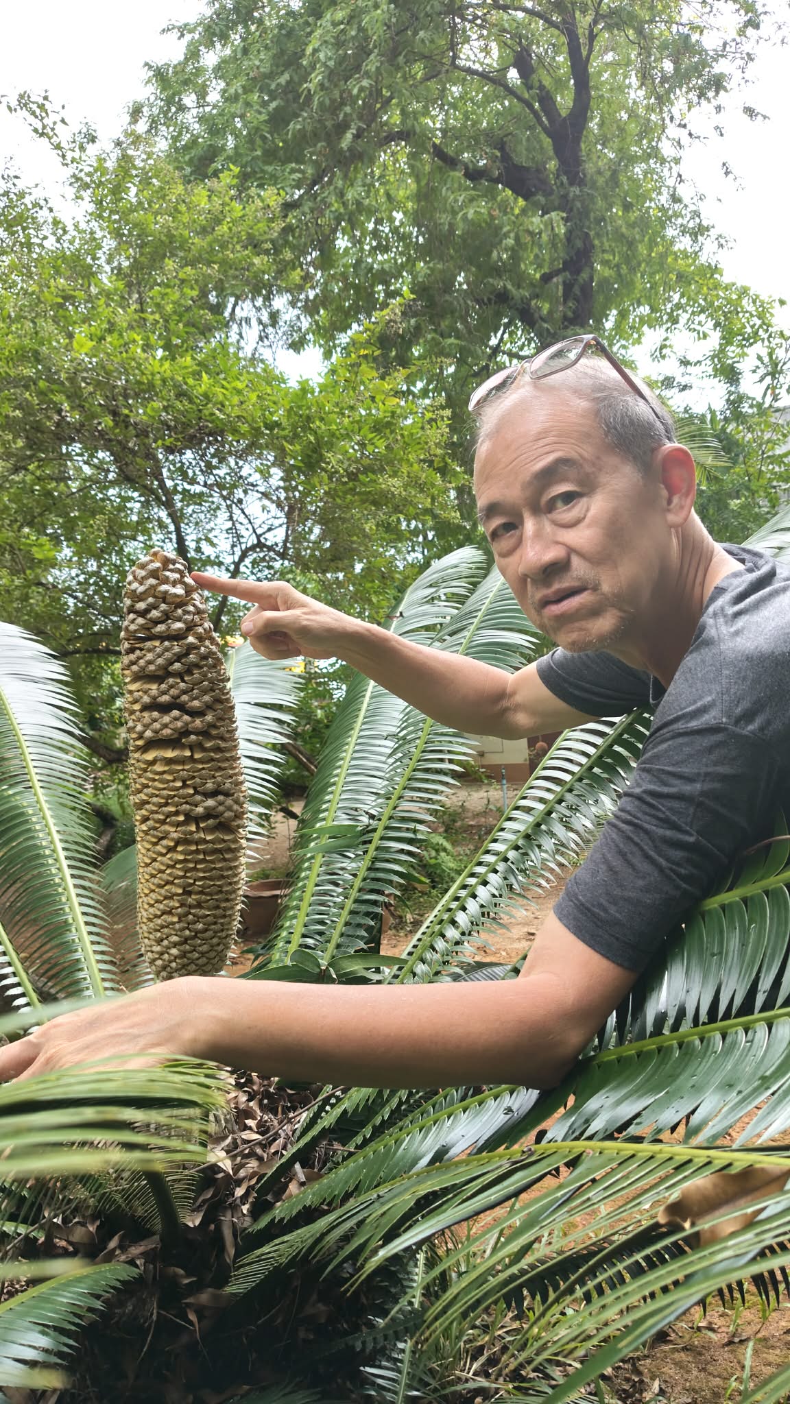 1212025