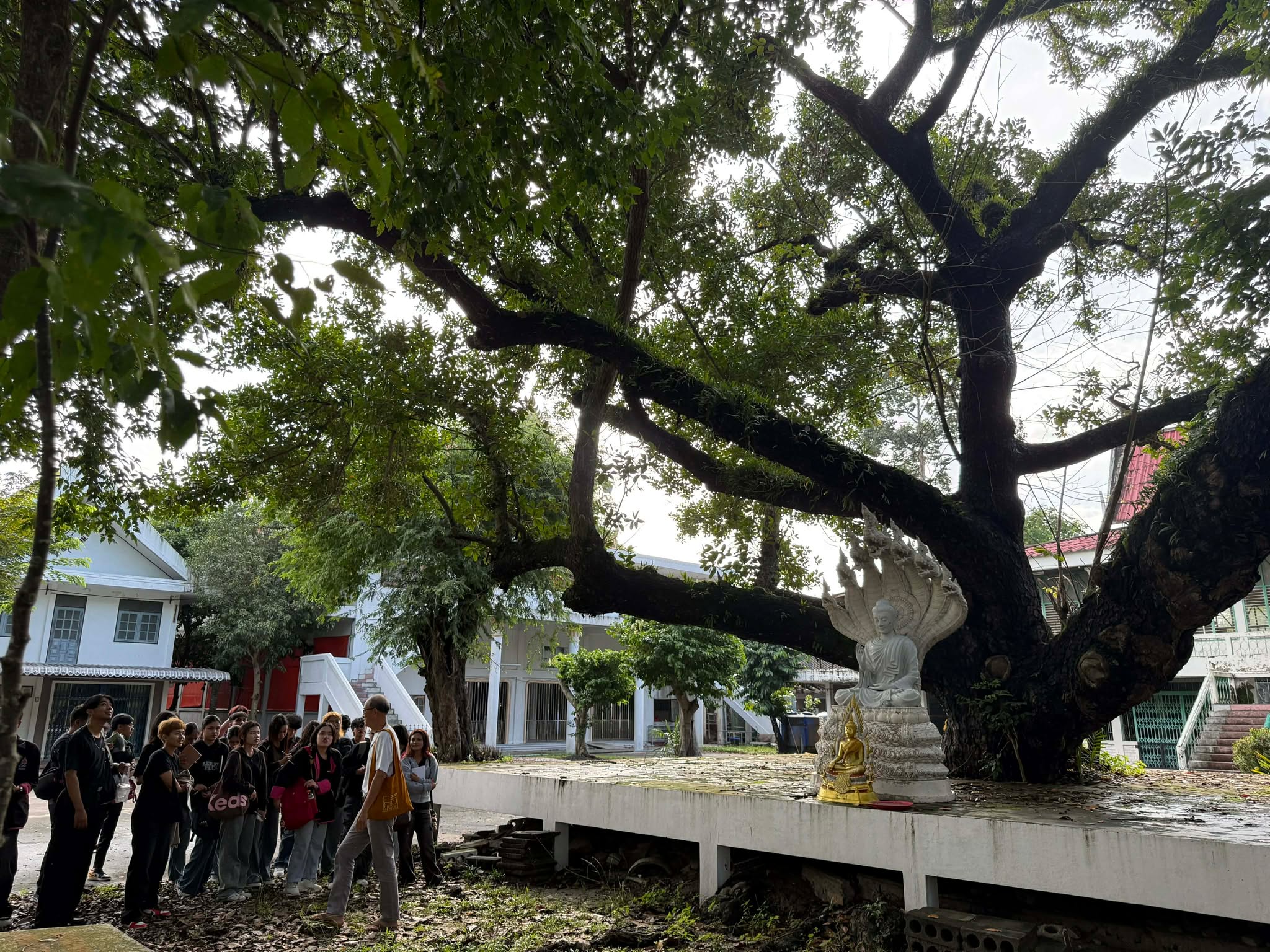 1512055