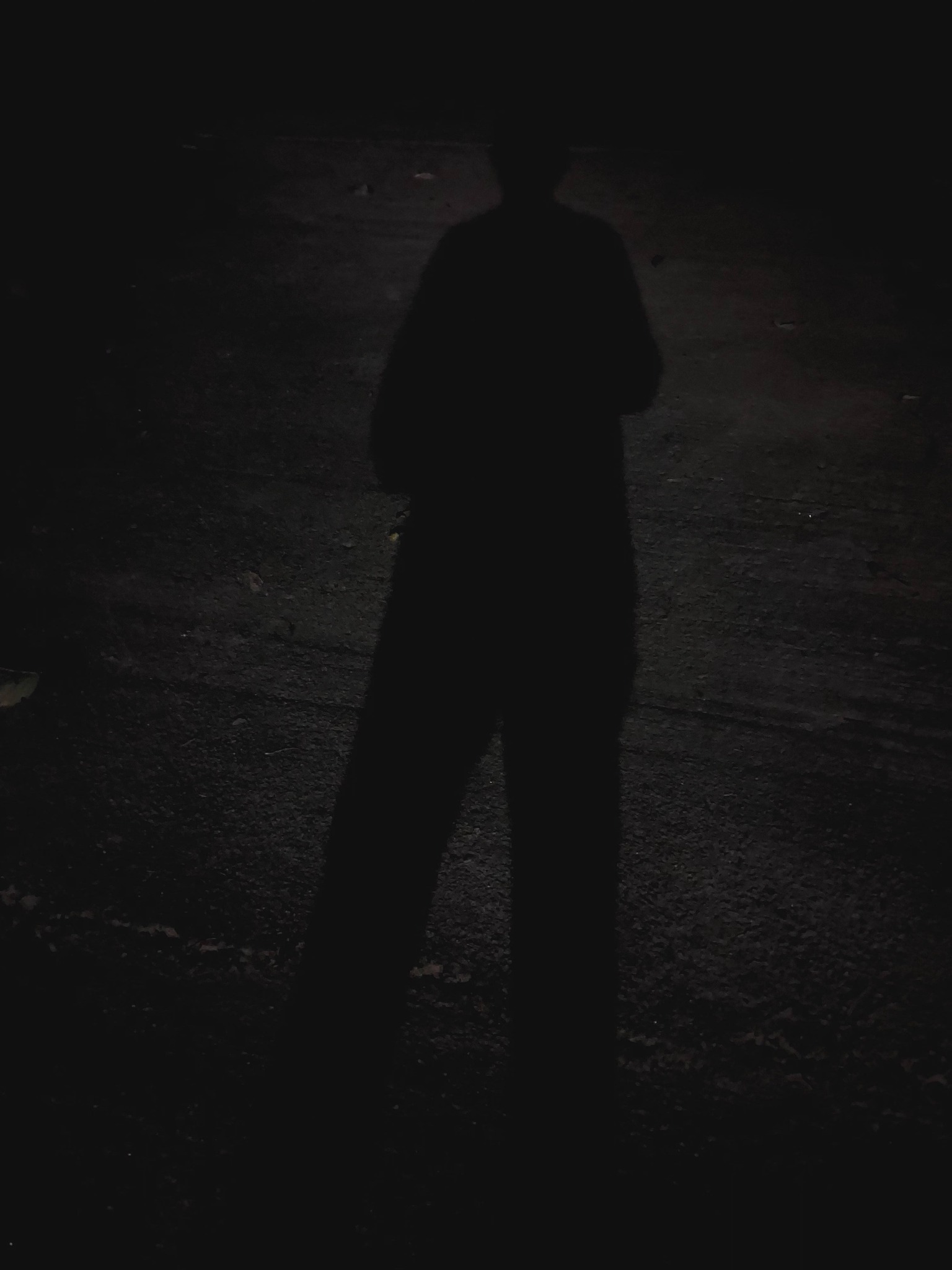 2512081
