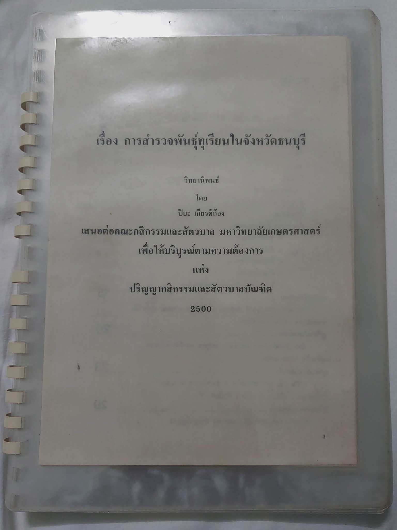 26120704