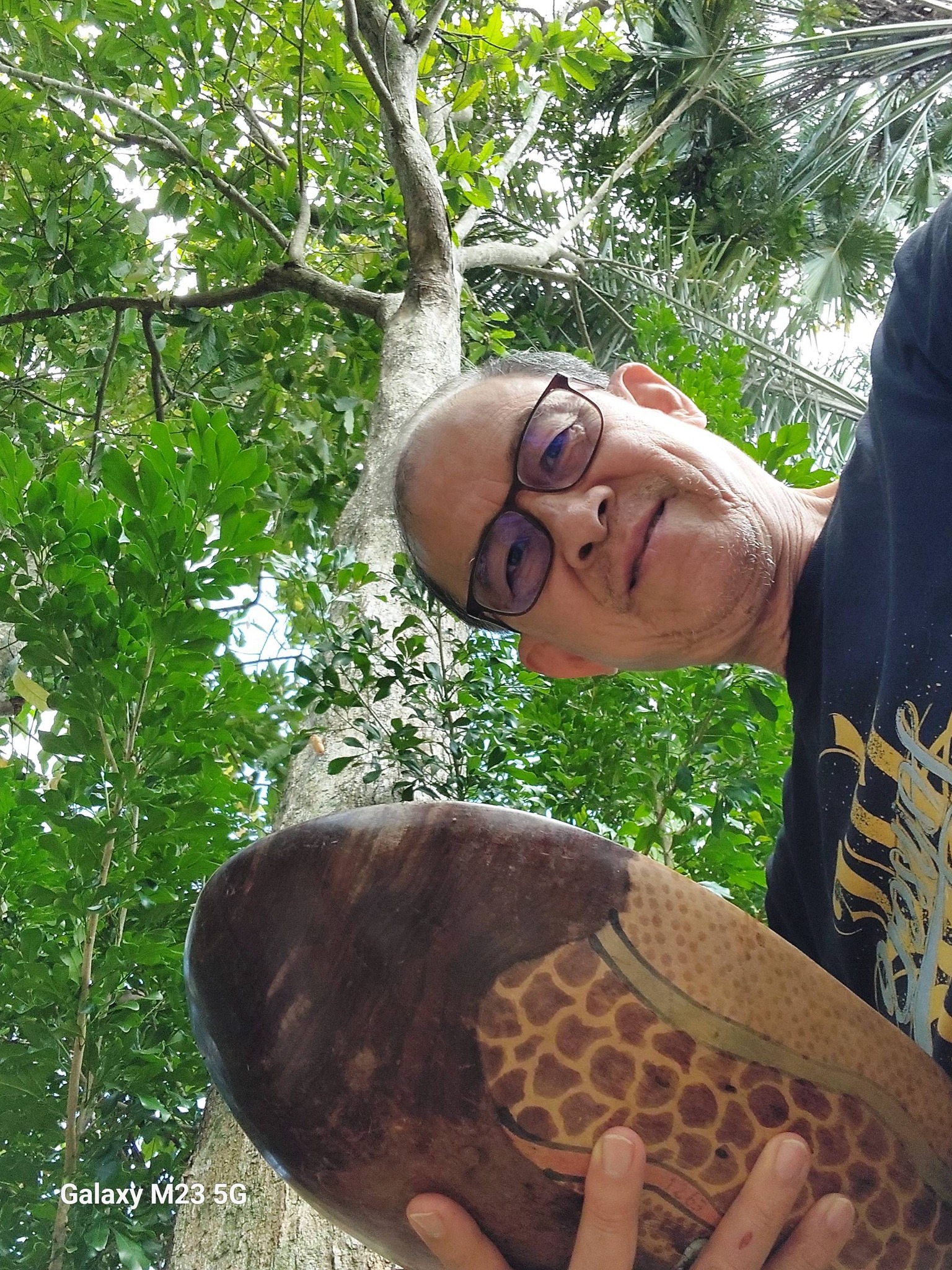 20260130_3 #เล่านคร วันนี้มีต้น #จันทร์กะพ้อ ให้จับจองไปปลูกกันครับ  TodayForumWithThisSuperbTrees