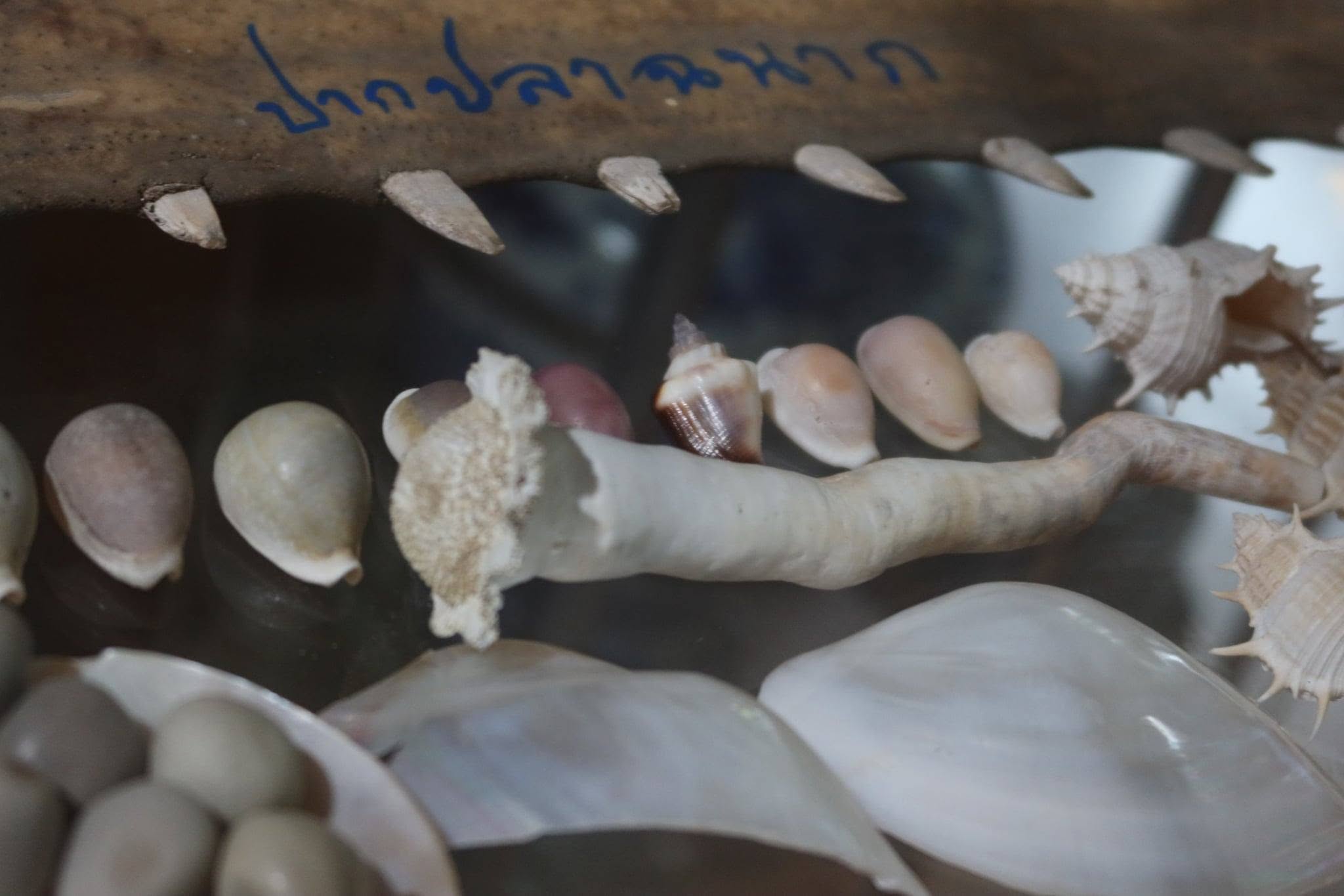 0306001104