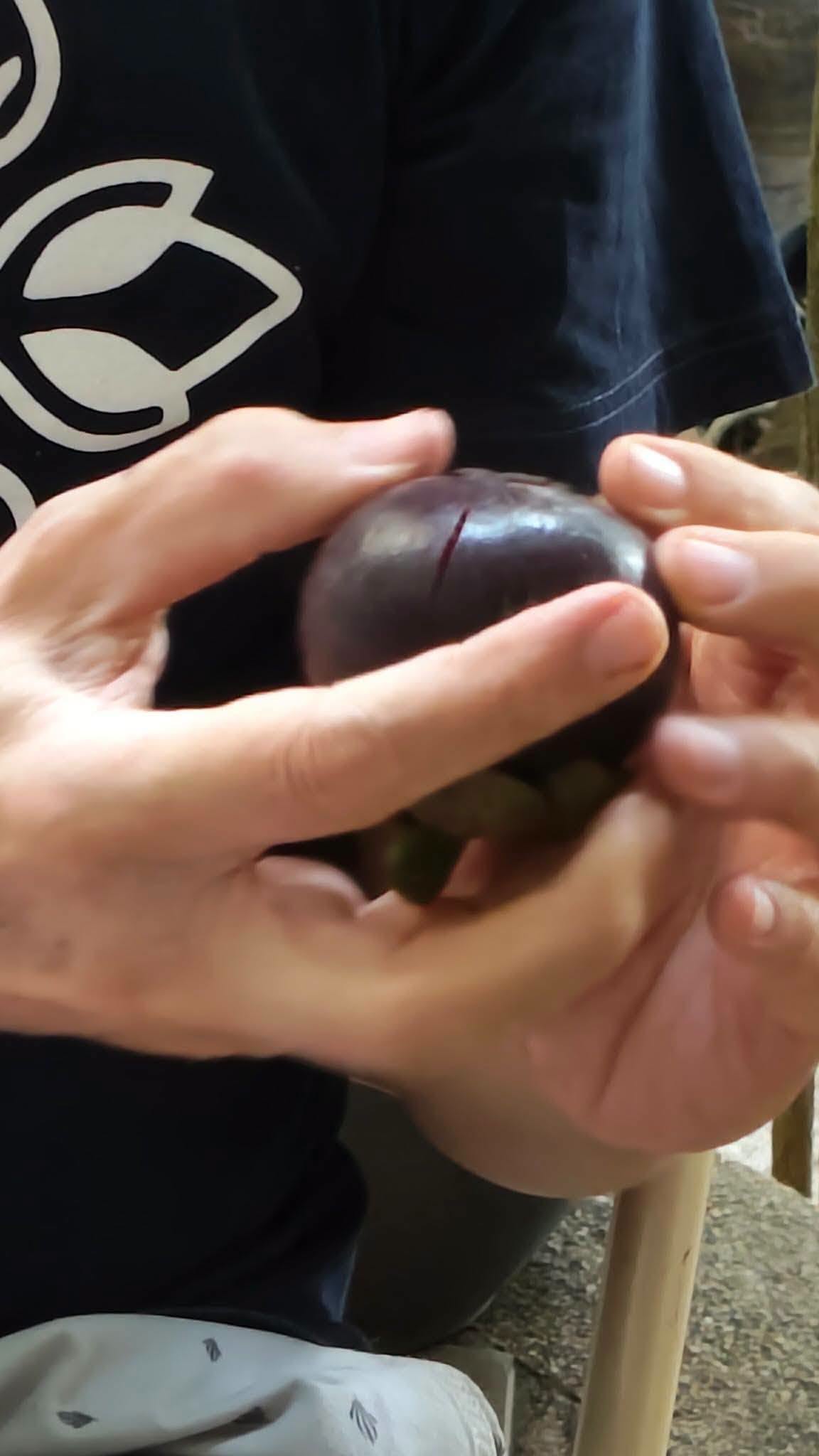 2308064