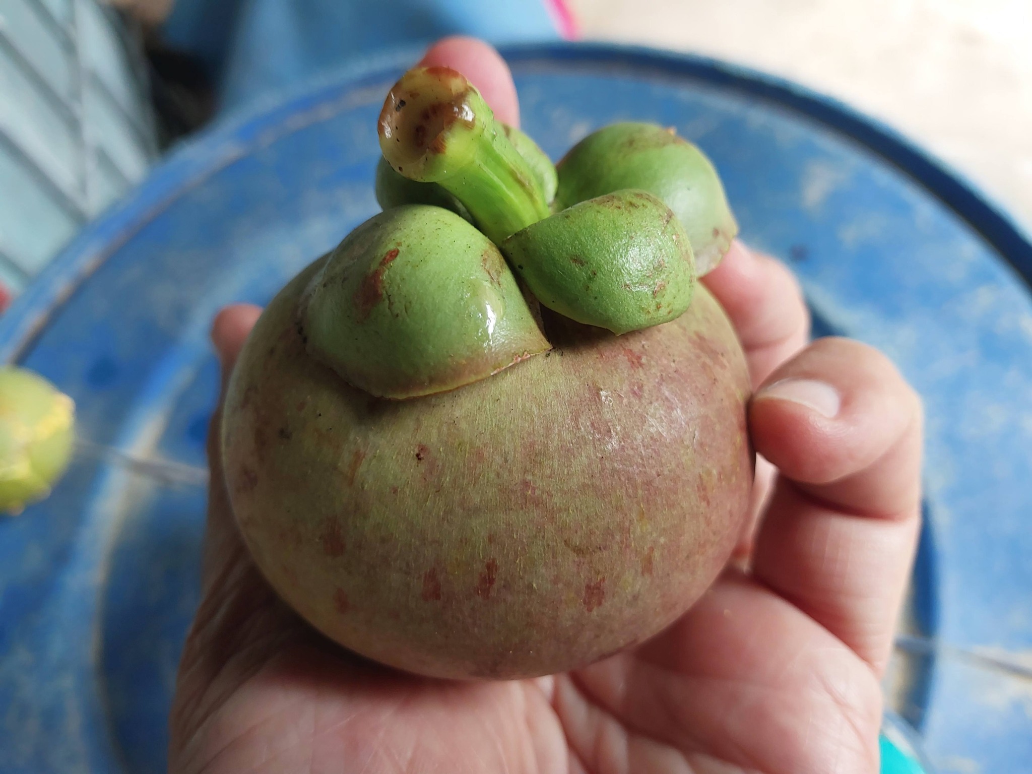 2101044