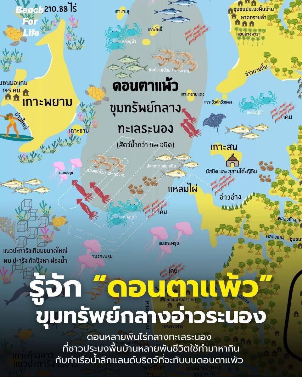 1204036