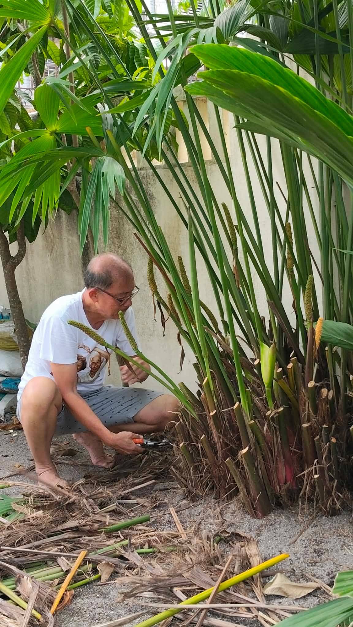 20260414_8 เย็นสบายได้อยู่กับหมู่ไม้และหมา ๆ  HappyTimeAtHome