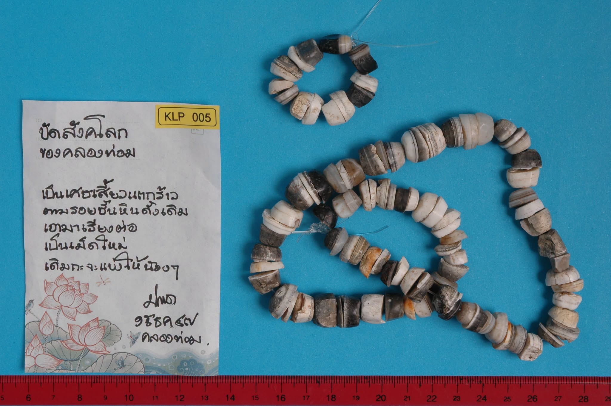 20261023_1 ก่อนเกิดสินามิถล่มรอบมหาสมุทรอินเดีย ... BeforePanIndianOceanTsunamiAlert