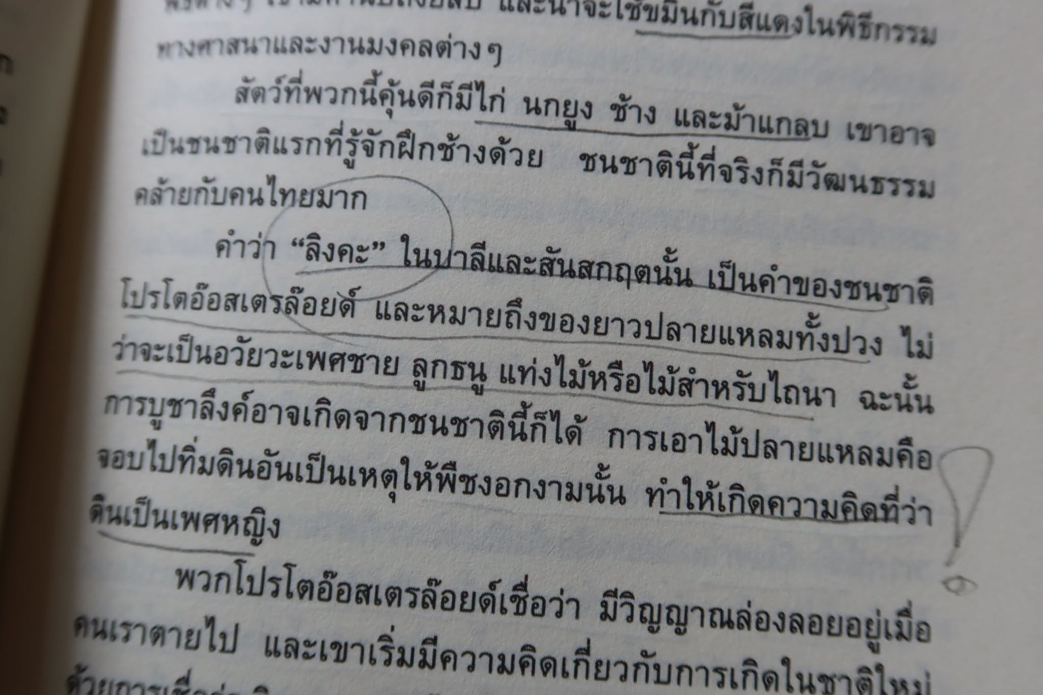 2510038